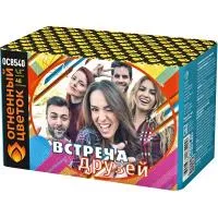 Салют Встреча друзей New ОС8541 купить от производителя Огненный Цветок — Новомосковск