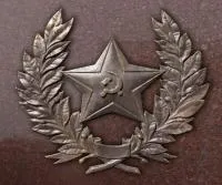  - «Бронзовая звезда лавроввая ветвь на памятник» (NSO-PiroClub)